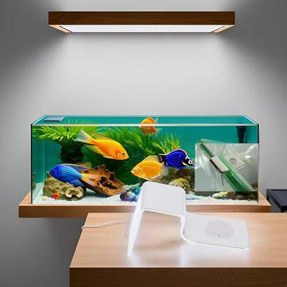 4Pcs Fish Glass Cover Clip, Stainless Steel Aquarium Glass Cover Support Bracket Holders Universal Lid Clips for Rimless Aquarium(8mm)