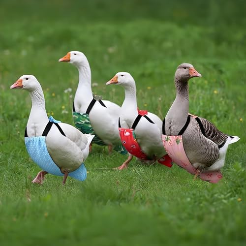 2 Pack Chicken Diapers for Hens, Roosters, Diapers for Ducks, Ducklings, Reusable Pet Diaper with Bow Ties Waterproof Poultry Nappies Pet Clothes for Geese Pet Ducks-Camouflage&Red,L