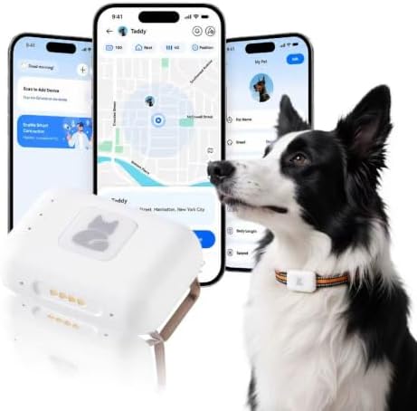 Pet Real Time GPS Tracker, Smart Dog Tracker GPS with 1 Month Subscription