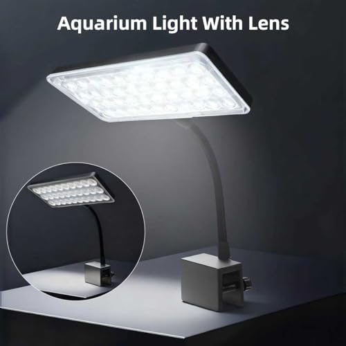 Vimvins 10 Gallon Glass Small Fish Tank with Filter Light and Lid, Aquarium Starter Kit