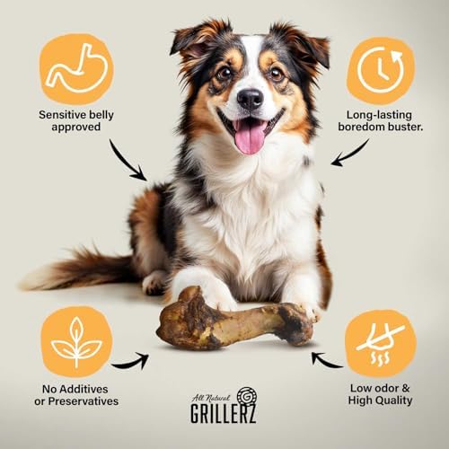 Grillerz Large Rawhide-Free Pork Bone, 1 Count