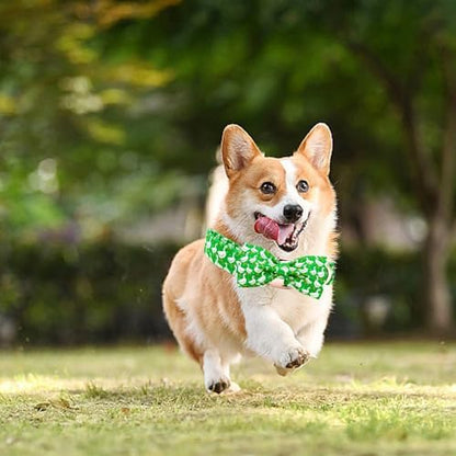 Summer Green Gooses Print Dog Collar with Bow for X-Large Dogs