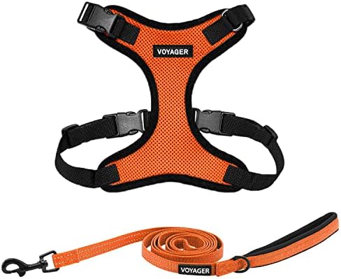 Best Pet Supplies Voyager Step-in Lock Pet Harness w Reflective Pet Leash Combo Set with Neoprene Handle 5ft - Supports Small, Medium and Large Breed Puppies/Cats - Orange/Black Trim, M