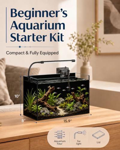 5 Gallon Glass Aquarium Starter Kit, Rimless Fish Tank