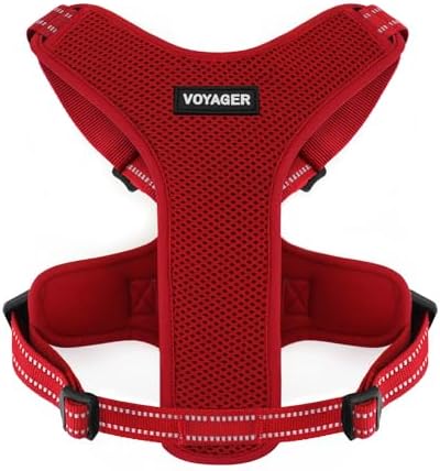 Air Frontier Mesh Dog Harness with Steel Leash D-Ring, Reflective Stitching, and Lightweight Breathable No-Pull Design, Adjustable Neck and Chest Straps for Small to Large Breeds - RDW, XS