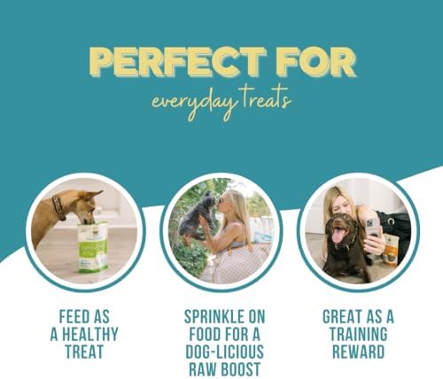 Salmon Cranberry Freeze Dried Dog Treats USA Sourced and Small Batch Made - Human-Grade, All Natural Superfood Dog Snacks Without Artificial Preservatives, Grain Free - 3.5 oz