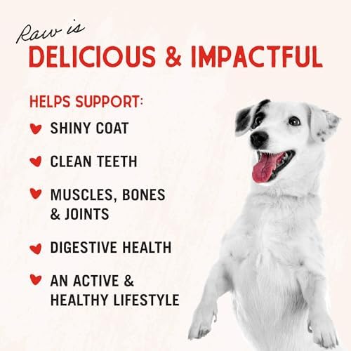 Stella & Chewy's Freeze-Dried Raw Beef Heart Dog Treats - Single Ingredient, No Additives - Premium Training Treats - Perfect for Picky Eaters - 3oz Bag