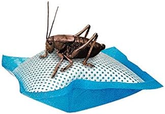Zilla Reptile Food Cricket Water Pillows, 6-Pack