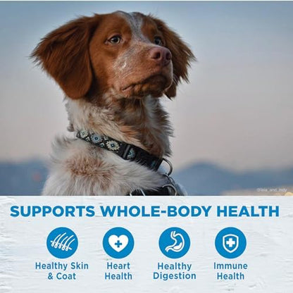 Wellness Simple Limited Ingredient Healthy Weight Adult Dry Dog Food, Grain Free Kibble, Sensitive Stomach, Skin & Coat Support, Natural, Chicken Free, Salmon and Peas Recipe, 24 lb Bag