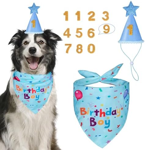 Dog Boy Birthday Party Hat,Dog Birthday Party Supplies,Dog Bandana
