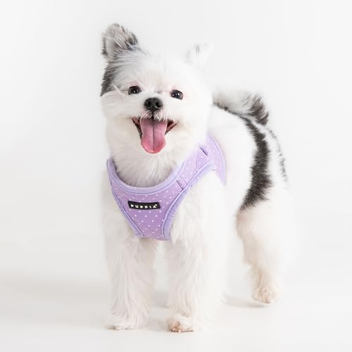 Puppia Dotty Dog Vest Harness B (Step-in) Fashionable Polka Dot Pattern Spring Summer Harness for Small Dogs, Violet, Medium