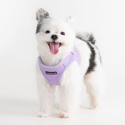Puppia Dotty Dog Vest Harness B (Step-in) Fashionable Polka Dot Pattern Spring Summer Harness for Small Dogs, Violet, Medium