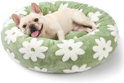 JOEJOY Jacquard Donut Round Small Dog Beds,Green 23x23x8in, Removable Washable Cover, Cute Pattern, Ultra Soft Fluffy Calming Pet Bed with Thick Supportive Bolster