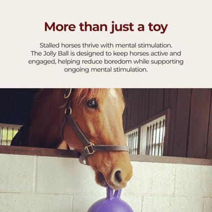 Horsemen's Pride 10 in Jolly Ball Horse Toy, Light Purple