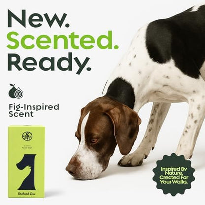 &earth Poop Bags for Dogs, Leak-Proof, Extra Thick, Fig-Scented Waste Bag Refill Rolls, 9x13 Inch, 120 Count