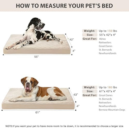 WNPETHOME Orthopedic Giant Human Dog Beds for Adult & Dog Cozy Sleep