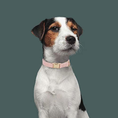 Soft Corduroy Fibric Dog Collar with High Grade Metal Buckle, for Medium Dogs(Light Pink,Medium:12-19")