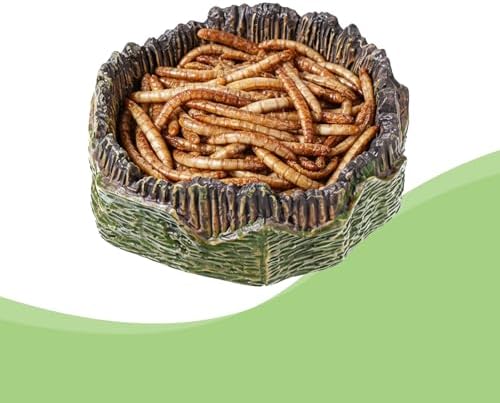 Small Reptile Food Dish, 2 PCS Reptile Water Dish Food Bowl Reptiles Feeding Foods Resin Terrarium Bowl for Bearded Dragon Gecko Frog Snake Chameleon Tortoise