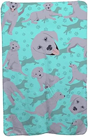 Caroline's Treasures MLM1054TBLT Silver Labrador Retriever Soft Travel Blanket with Bag Airplane Blanket, Indoor Outdoor Camping Blanket for Traveling, Picnics, Beach Trips, Concerts