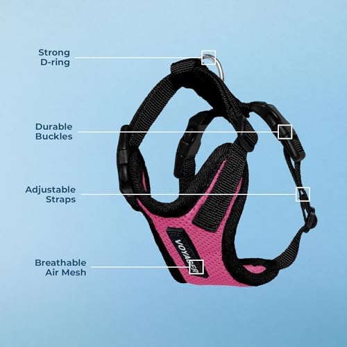 Voyager Step-in Lock Dog Harness - Fuchsia/Black Trim, Medium