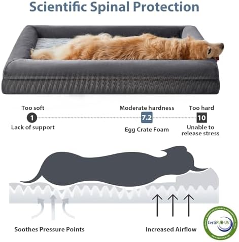 WNPETHOME XL Extra Large Orthopedic for Senior Dog Bed Comfy Sleeping