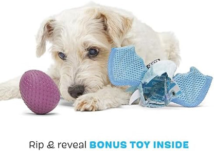 BarkBox Brrrtha The Dragon