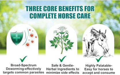 VITALVINE Ivermectin 1.87% Paste for Horses – Apple Flavor 6.08g Syringe, Treats Horses Up to 1250 lbs (1-Pack)