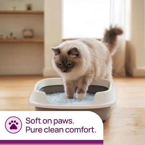 Litter Pearls Micro Crystals Soft on Paws 30-Day Odor Control Litter 10.5lb