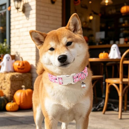 DOGWONG Pink Halloween Dog Collar, Pink Ghost Fall Dog Collar,Girl Female Halloween Dogs Collars for X-Small Puppies Dogs, Neck 8-12 inches