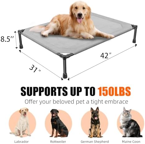 Simple Trending Raised Dog Bed for Large Dogs, Outdoor Elevated Dog Cot