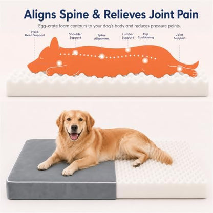 Orthopedic Dog Mat, 100% Waterproof 28D Foam Bed, Washable