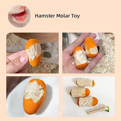 Niteangel Hamster Chew & Decor Toys: Pack of 6 Carrot-Shape & Beech Wood