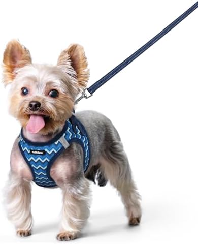 rabbitgoo Dog Harness Small Sized and Leash Set, Step-in Puppy Pet Vest