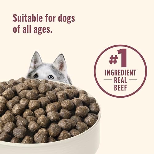 Nutrish High Protein Dry Dog Food, 4 lb. Bag (Rachael Ray)