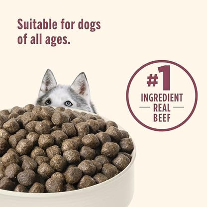 Nutrish High Protein Dry Dog Food, 4 lb. Bag (Rachael Ray)