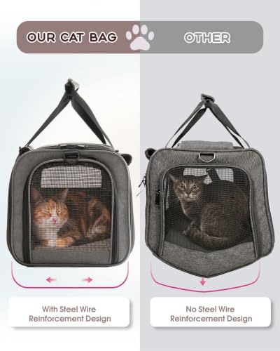BurgeonNest Soft-Sided Cat Carrier for Cats up to 20 lbs
