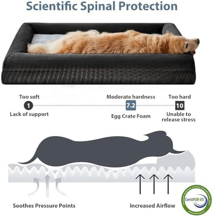 WNPETHOME Giant Dog Bed Orthopedic for Senior Dog Bed Comfy Sleeping