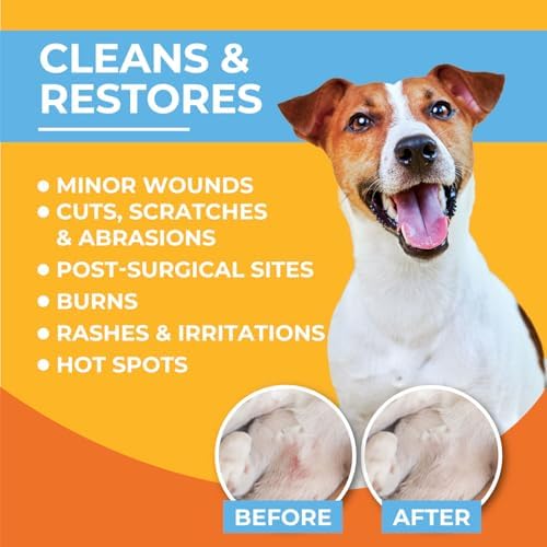 Paw Science Skin & Wound Care Spray for Dogs & Cats – Lick-Safe Antiseptic Healing Aid, Itch Relief & Skin Repair Treatment for Hot Spots, Rashes, Cuts, Burns, & Irritation