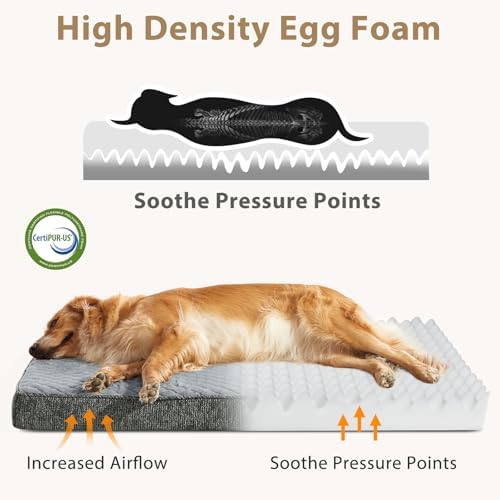 JOEJOY Orthopedic Medium Dog Bed, Washable Dog Crate Bed Medium Sized with Removable Cover, Egg Memory Foam Pet Beds, Light Grey, 29"x18"