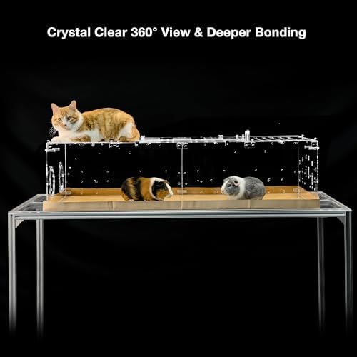GuineaLoft™ Model-A1 Acrylic Guinea Pig Cage w/Clear Acrylic Lid