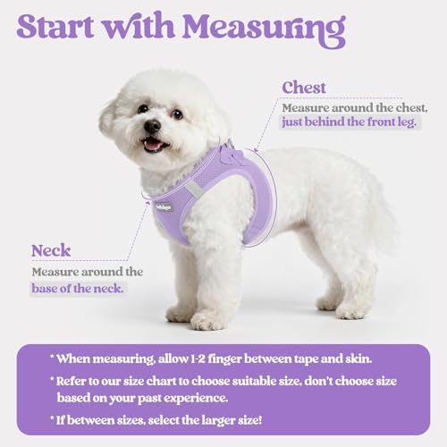 rabbitgoo Dog Harness Small Sized and Leash Set, Step-in Puppy Pet Vest