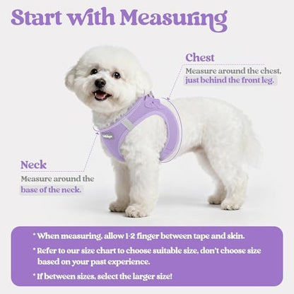 rabbitgoo Dog Harness Small Sized and Leash Set, Step-in Puppy Pet Vest