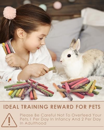 Bissap 108PCS Rabbit Chew Sticks, Natural Molar Treats for Small Animal