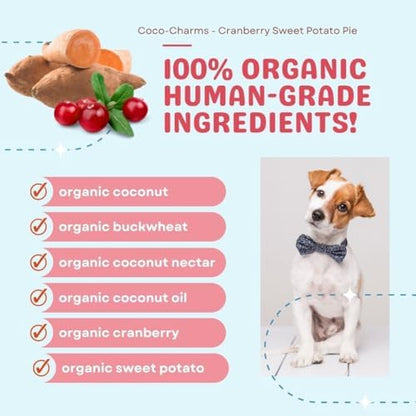 CocoTherapy Coco-Charms Training Treats, 100% USDA Certified Organic, Non-GMO, Vegan, 100% Human Grade, Cranberry Sweet Potato Pie, 5 oz.