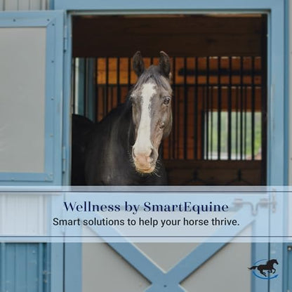 SmartEquine Quiet Drop Horse Cross Ties, Sold in Pairs (2), Black