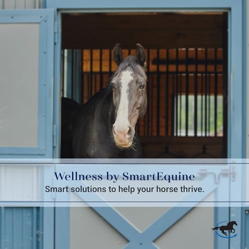 SmartEquine Fly Mask with UV Protection, Ears, and Mesh, Horse Size