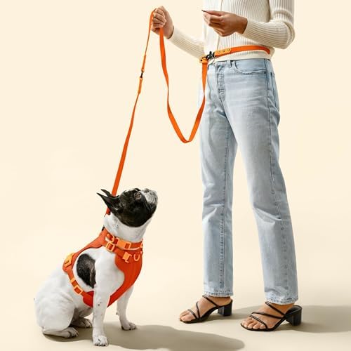 WLK1004A-5SET Luna Small 8FT Adjustable 6-in-1 Waterproof Hands-Free Leash and Collar with LED Flashlight, Bag Dispenser, and Poop Bag Holder, Aperol