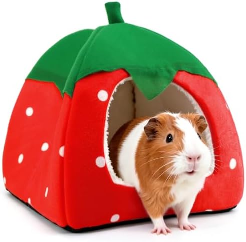 Guinea Pig Hideout Bed, Dwarf Rabbit House Cave