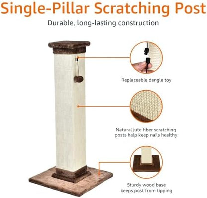 Amazon Basics Sturdy Cat Scratching Post for Indoor Cats & Kittens, Classic Single Post with Sisal Rope, Jute Fiber, Wood Base, Large (35.4"H), Brown