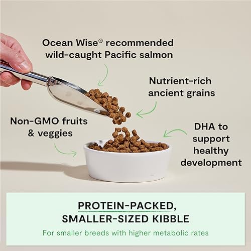 Open Farm Ancient Grains Dry Puppy Food, Wild Caught Salmon Kibble, 4lb Bag